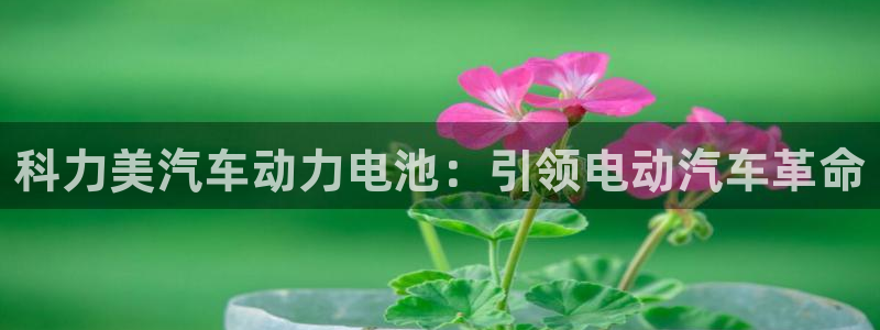 优发国际手机版官网