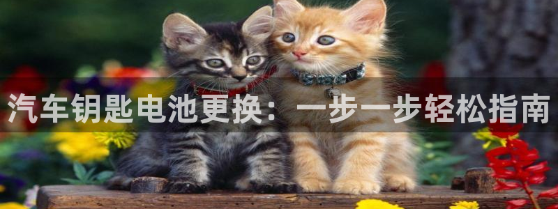 优发国际网页