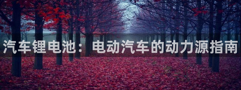 优发国际平台g8