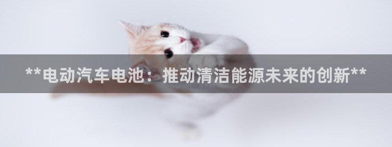 优发国际集团股份有限公司是国企吗