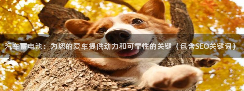 优发国际官方网平台