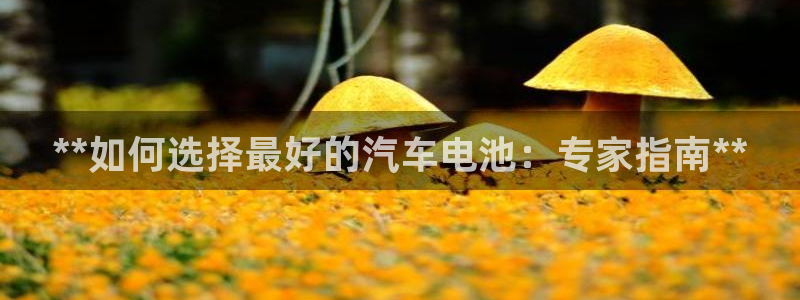 优发国际官网手机版入口