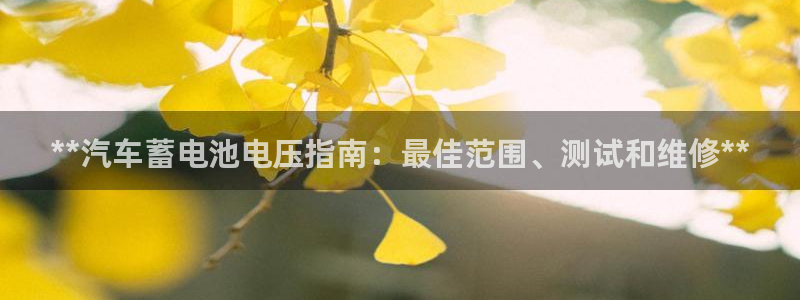 优发国际手机版