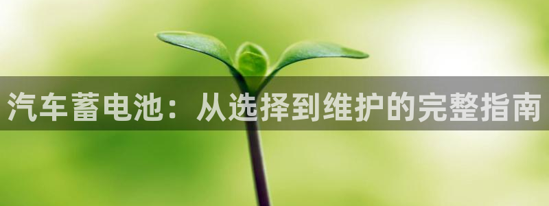 优发国际官方网手机版下载安卓