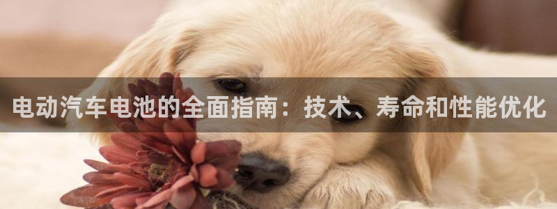 优发国际手机版网站下载