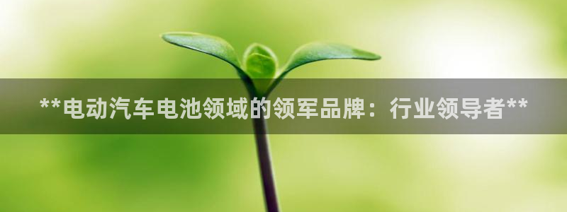 优发国际集团股份有限公司是国企吗