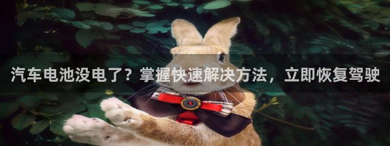 优发国际是大平台吗是真的吗