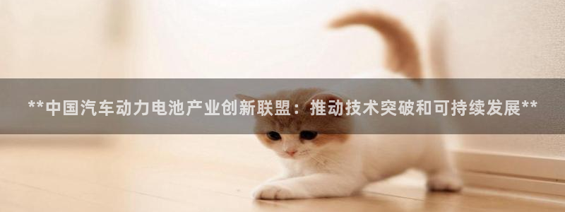 优发国际首页app