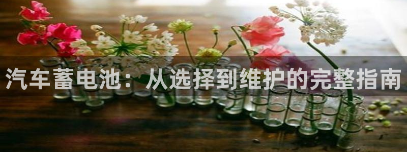 优发国际游戏官方网站入口