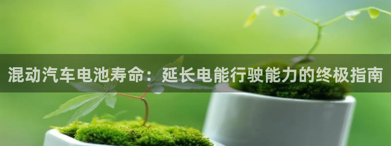 优发国际这个平台怎么样知乎