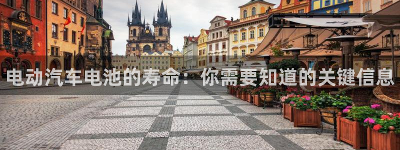 优发国际官网下载安装app