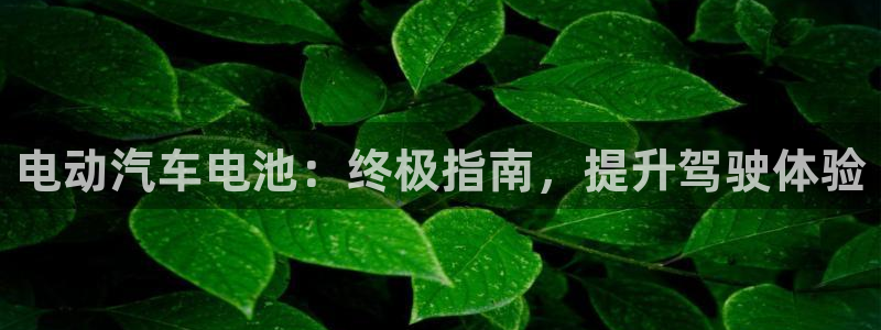 优发国际网站多少