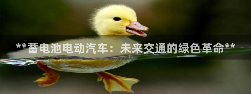 优发国际合并到哪里了