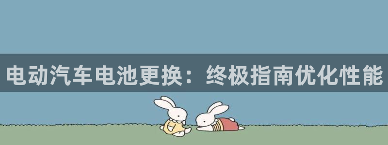 优发国际是大平台吗：电动汽车电池更换：终极指南优化性能