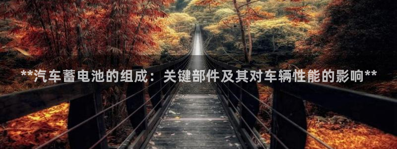 优发国际的官网是什么