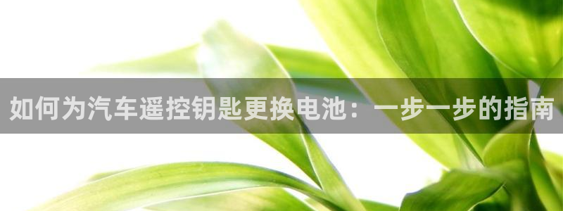 优发国际集团股份有限公司是国企吗