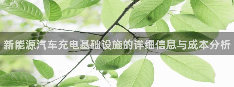 优发国际合并到哪里了：新能源汽车充电基础设施的详细信息与成本分析
