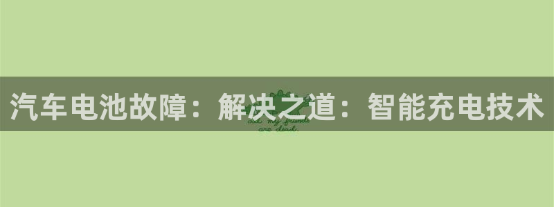 优发国际网官：汽车电池故障：解决之道：智能充电技术
