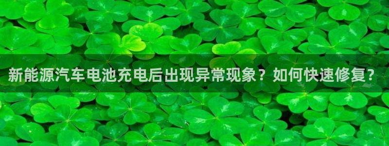 优发国际手机客户端怎么下载：新能源汽车电池充电后出现异常现象？如何快速修复？