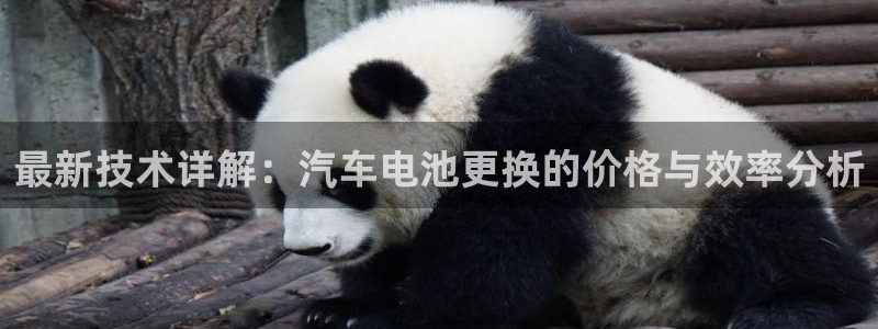 优发国际平台18岁能做吗：最新技术详解：汽车电池更换的价格与效率分析