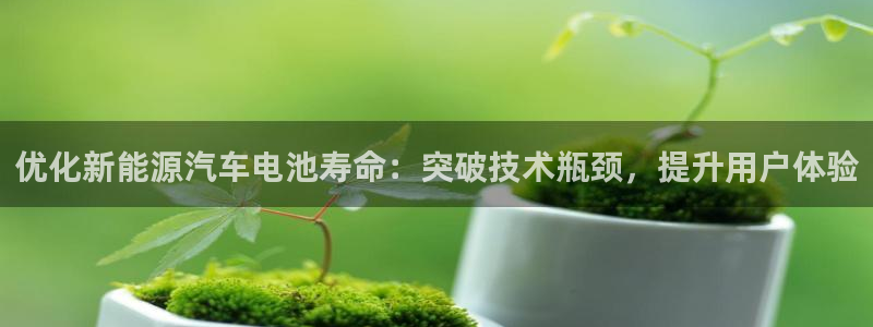 优发国际集团股份有限公司招聘
