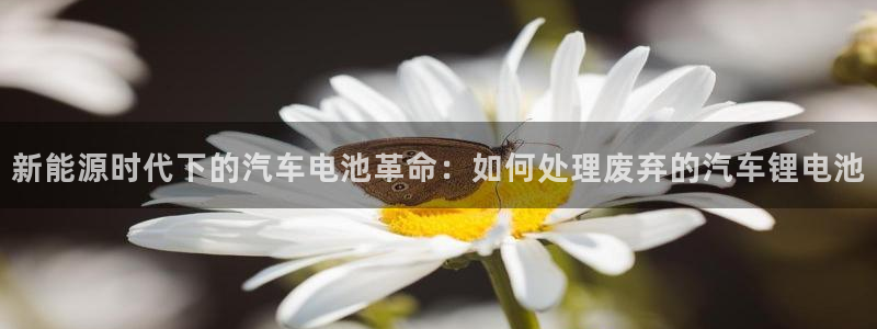 优发国际网官网17k8