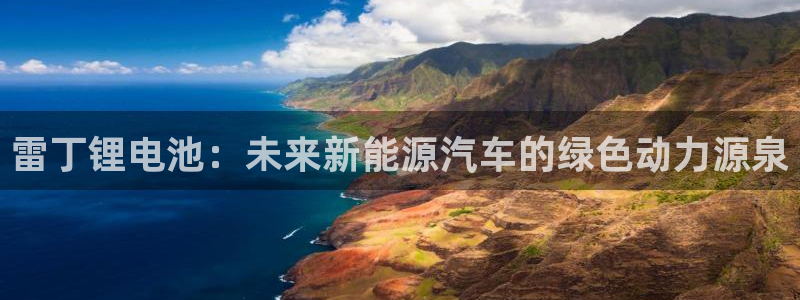 优发国际登陆u：雷丁锂电池：未来新能源汽车的绿色动力源泉