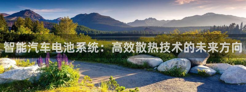 优发国际手机客户端下载：智能汽车电池系统：高效散热技术的未来方向