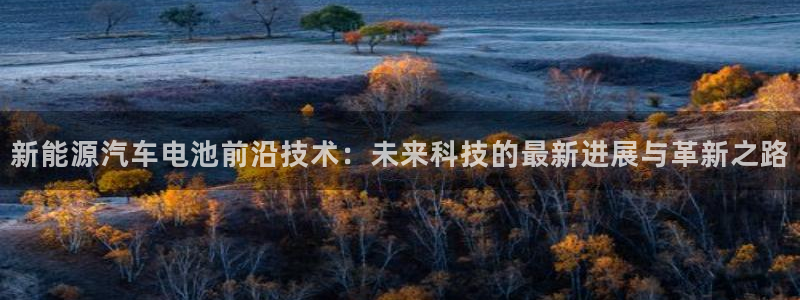 优发国际官方网手机版app：新能源汽车电池前沿技术：未来科技的最新进展与革新之路