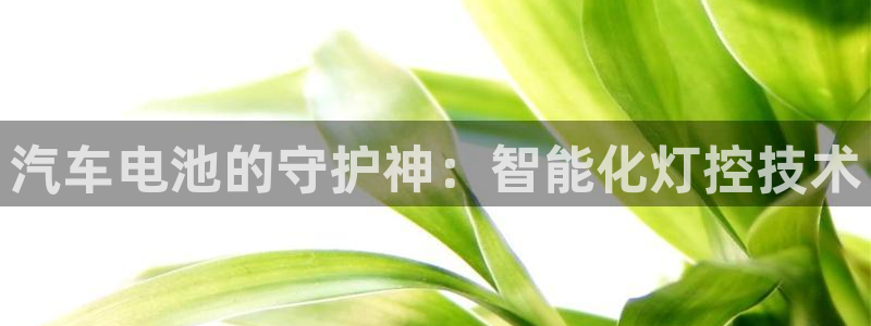 优发国际不出款怎么办：汽车电池的守护神：智能化灯控技术
