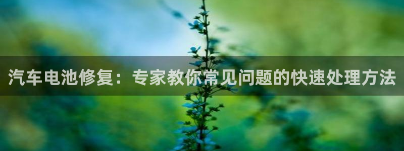 优发国际娱乐官网多少?：汽车电池修复：专家教你常见问题的快速处理方法