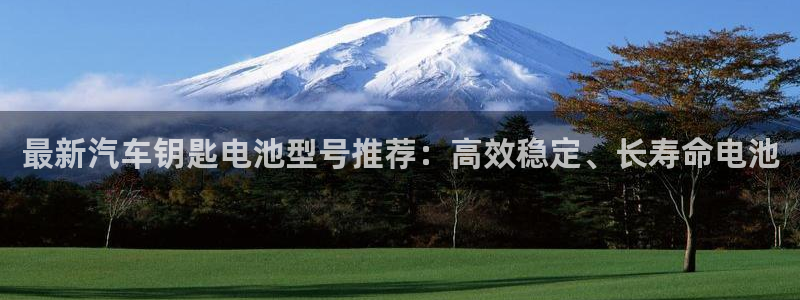 优发国际平台app下载官网：最新汽车钥匙电池型号推荐：高效稳定、长寿命电池