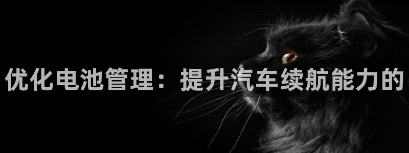 优发国际平台u8是什么公司：优化电池管理：提升汽车续航能力的
