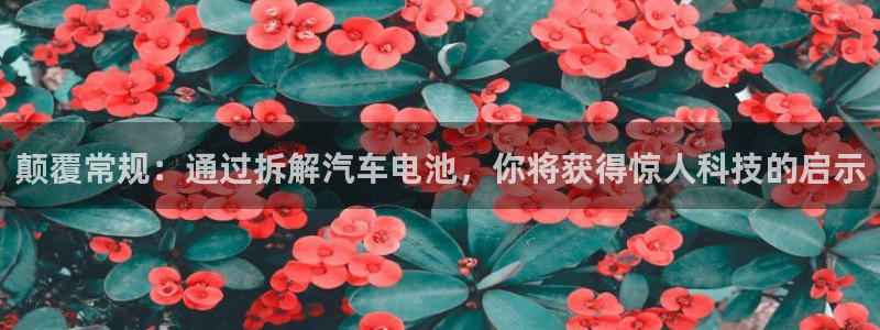 优发国际游戏n：颠覆常规：通过拆解汽车电池，你将获得惊人科技的启示