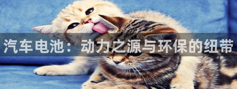 优发国际登录168：汽车电池：动力之源与环保的纽带
