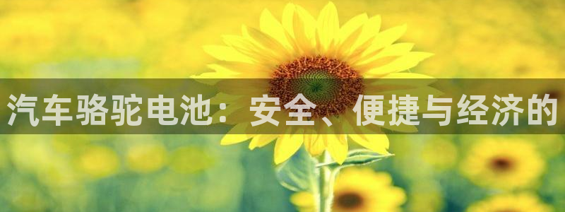 优发国际官网是多少号码