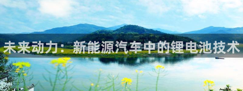 优发国际下载app：未来动力：新能源汽车中的锂电池技术