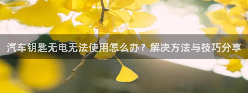 优发国际游戏
