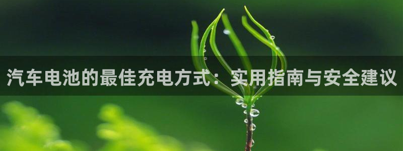 优发国际是大平台吗还是小平