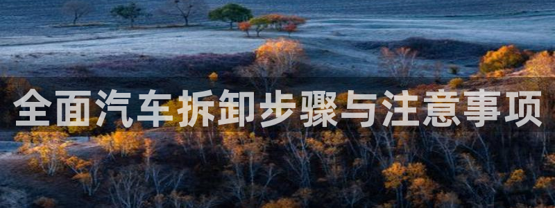 优发国际平台u8是什么软件