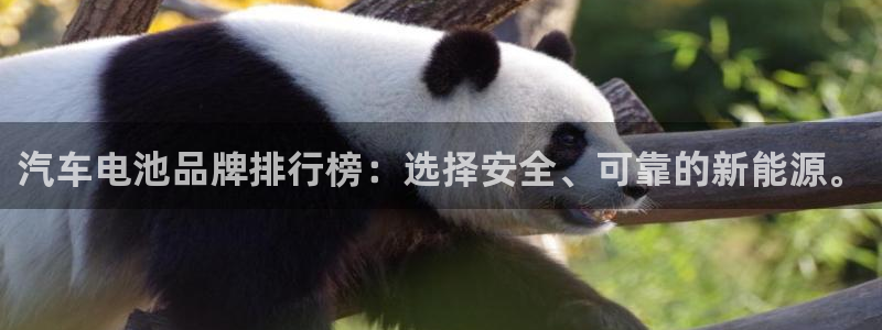 优发国际手机版下载
