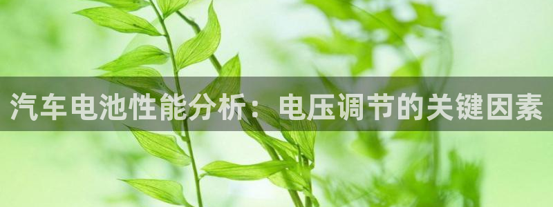 优发国际平台u8是什么软件：汽车电池性能分析：电压调节的关键因素