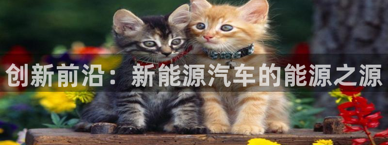 优发国际手机版网站入口：创新前沿：新能源汽车的能源之源