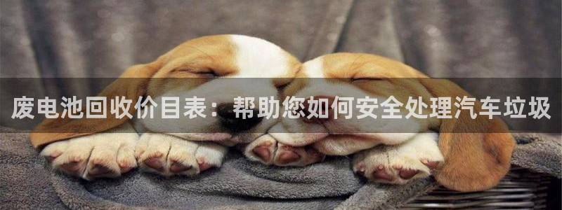 优发国际客服联系方式查询：废电池回收价目表：帮助您如何安全处理汽车垃圾