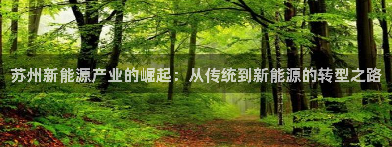 优发国际官方网手机版入口：苏州新能源产业的崛起：从传统到新能源的转型之路