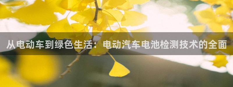 优发国际youfa