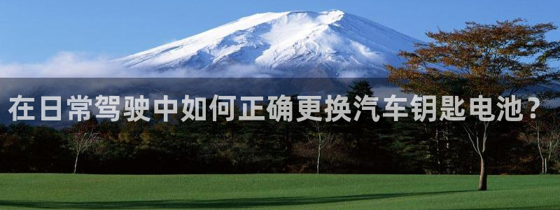 优发国际手机版唯一官网下载