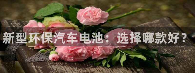 优发国际官方网手机版app：新型环保汽车电池：选择哪款好？