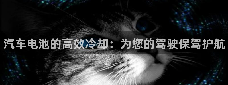 优发国际是不是黑网