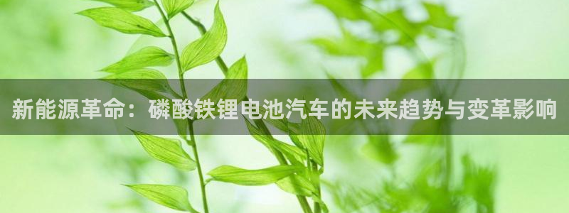 优发国际可以玩吗：新能源革命：磷酸铁锂电池汽车的未来趋势与变革影响